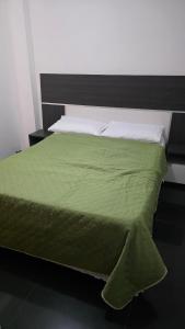 ein Bett mit einer grünen Decke darüber in der Unterkunft Apartamento Moderno Margarita in El Valle del Espíritu Santo