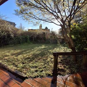 a park with a tree and a bench in a yard at Chuhouse in Villa Gesell +2 photos