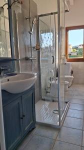 a bathroom with a sink and a glass shower at Le Rose Antiche in Murta Maria