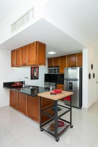 キャバレテにある1BR Ocean View Luxury Beachfront in Cabareteのキッチン(木製キャビネット、ステンレス製の冷蔵庫付)