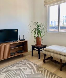 a living room with a tv and a potted plant at apartamento confort in Balneário Camboriú