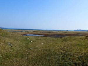 a grassy field with a pond in the middle of a field at 12 person holiday home in Millinge in Millinge +51 photos