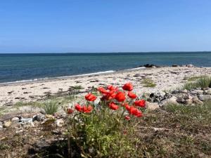 Billede fra billedgalleriet på 8 person holiday home in Otterup-By Traum i Otterup + 50 billeder