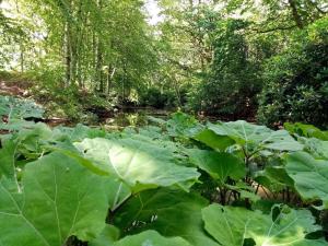 Φωτογραφία από το άλμπουμ του 5 star holiday home in Frederikshavn-By Traum σε Frederikshavn +32 φωτογραφίες