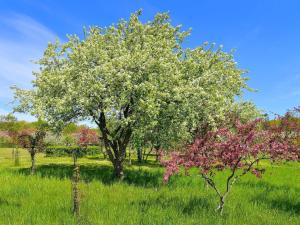 Φωτογραφία από το άλμπουμ του 5 star holiday home in Frederikshavn-By Traum σε Frederikshavn