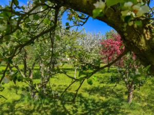 Φωτογραφία από το άλμπουμ του 5 star holiday home in Frederikshavn-By Traum σε Frederikshavn