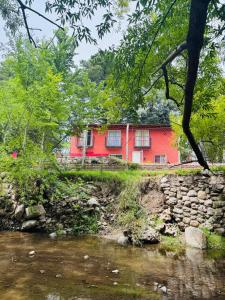 Příroda nedaleko prázdninového domu + 7 fotografií