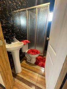 Un baño con inodoro, ducha y lavabo. en Cabañas de campo, en Angol