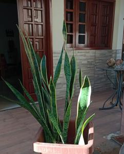 Ảnh trong thư viện ảnh của Casa 48 