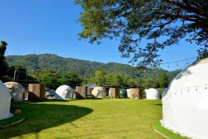 a group of tents in a field with a mountain at ภูจัน รีสอร์ท&ออนเซ็น แคมปิ้ง  +8 photos