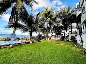 a park with palm trees next to the ocean at Beachfront home near Dunns River Falls in Tower Isle