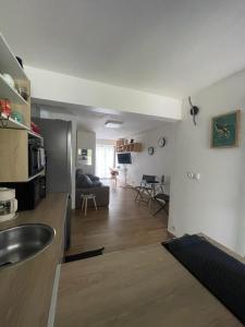 a kitchen and living room with a stainless steel refrigerator at Studio Melisyle in Sainte-Anne