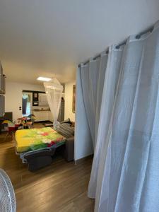 a bedroom with a bed and curtains in a room at Studio Melisyle in Sainte-Anne +17 photos