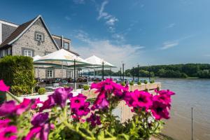 WiddigにあるRheinterrassen Hotel Café Restaurantの建物前のピンクの花束
