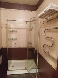 a shower with a glass door in a bathroom at Ak zhol in Almaty