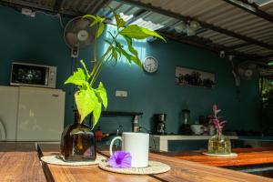 a table with a plant in a bottle and a coffee mug at The Backside House -women only- in Tamarindo +14 photos
