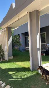 Κατοικίδιο ή κατοικίδια επισκεπτών που μένουν στο Villa Hossam