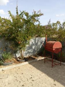 an old chair sitting in front of an orange tree at Serene Haven of Rest in Iringa
