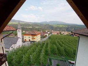 Cảnh núi rừng hoặc tầm nhìn ra núi từ căn hộ