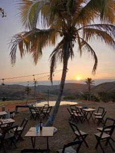 Un grupo de mesas y sillas bajo una palmera. en Espaço fazendinha por do Sol da piscina, en Paty do Alferes