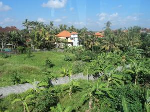 Κήπος έξω από το Kabera Bungalow Ubud