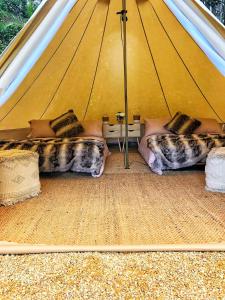 a tent with two beds in it with at Aura Glamping Bell Tent in Eumundi