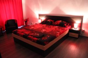 een rode slaapkamer met een groot bed met rode lakens en kussens bij Studio Lujerului 2 in Boekarest
