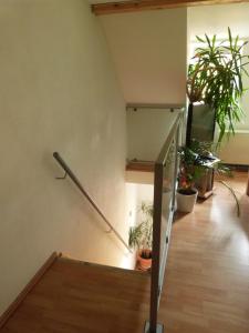Fotografia z galérie ubytovania Apartmán Susice v destinácii Sušice