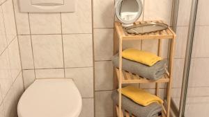 バート・ムスカウにあるKleine hübsche Unterkunft in Bad Muskau im EG, Nähe Schloss, Waldeisenbahn, Hermansbad, UNESCO Geopark, Nähe polnischer Markt, Top Lage für Ausflugsziele zum Wandern oder Radfahrenのバスルーム(トイレ、鏡、タオル付) +29枚の写真