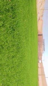 Billede fra billedgalleriet på مخيمات للايجار طريق الثمامه i Riyadh