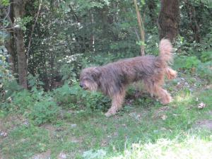 Billede fra billedgalleriet på Baita Bondella i Como