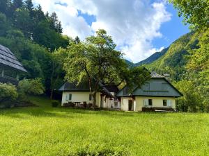 a house with a tree in the middle of a field at Soča Village in Soča