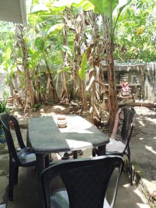 Un jardín fuera de Macow nest varkala