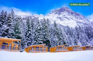 普拉洛尼昂拉瓦努瓦斯Epicéa Lodge Hôtel et Camping的雪地中的滑雪小屋,有雪覆盖的山