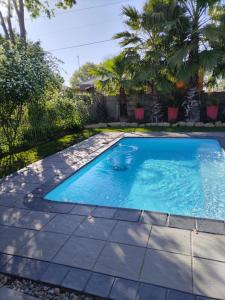 a swimming pool in a yard with palm trees at Lind Haven in Bothaville