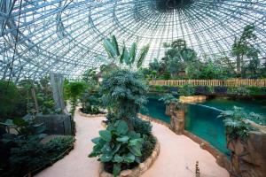 a greenhouse with a swimming pool and many plants at Les Rivages de Beauval in Saint-Aignan