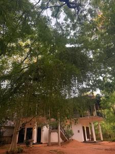 Κήπος έξω από το Yala Taman