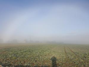 ein nebliges Feld mit einem Bauernhof in der Ferne in der Unterkunft Lieblingsort in Haigerloch