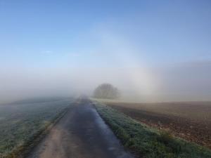 Eine Straße mitten auf einem Feld im Nebel in der Unterkunft Lieblingsort in Haigerloch