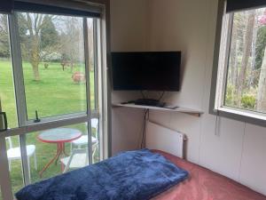 a bedroom with a bed and a tv and a window at Ruapehu country lodge in Ohakune +1 photo