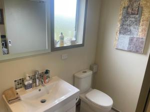 a bathroom with a sink and a toilet and a mirror at Ruapehu country lodge in Ohakune