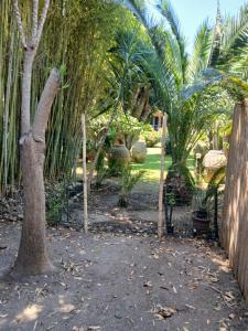 Villa Elenaにある庭