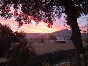 a view of a sunset from a yard with a tree at La casina del cabrajigo in Cangas de Onís