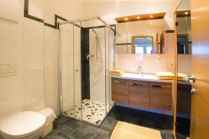 a bathroom with a shower and a toilet and a sink at Vicky Apartments, Wildschönau-Niederau in Niederau