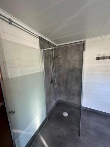 a bathroom with a shower with a glass door at Camp Caroli Olala in Jukkasjärvi +15 photos
