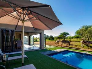 a house with a pool and zebras in the background at Tenkudu Bush Lodge in Dinokeng Game Reserve