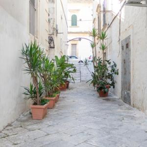 Fotografie z fotogalerie ubytování Lanucara 5 v destinaci Martina Franca