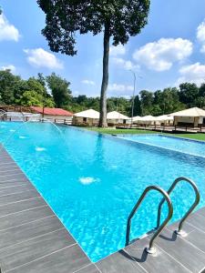 Bazén v ubytování Usima Forest Resort nebo v jeho okolí