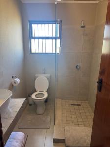 a bathroom with a shower with a toilet and a sink at The Pecan Cottage in Somerset East +11 photos