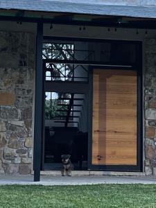 a dog sitting in the doorway of a house at Cabaña en cafetales de Huatusco 